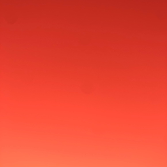 Meet your Posher, Harley - Picture 1 of 1